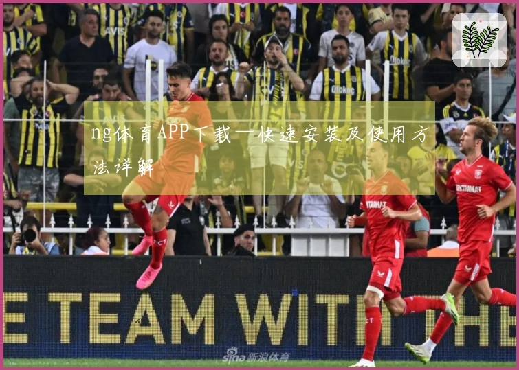 ng体育APP下载—快速安装及使用方法详解