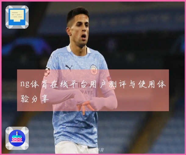 ng体育在线平台用户测评与使用体验分享