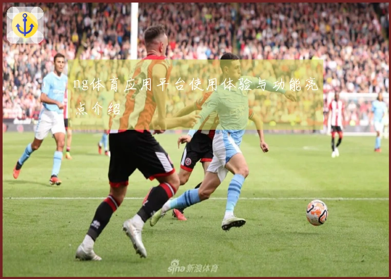 ng体育应用平台使用体验与功能亮点介绍