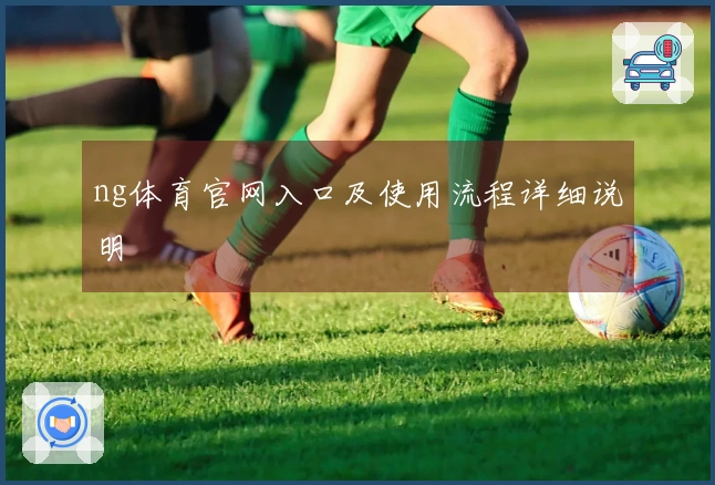 ng体育官网入口及使用流程详细说明